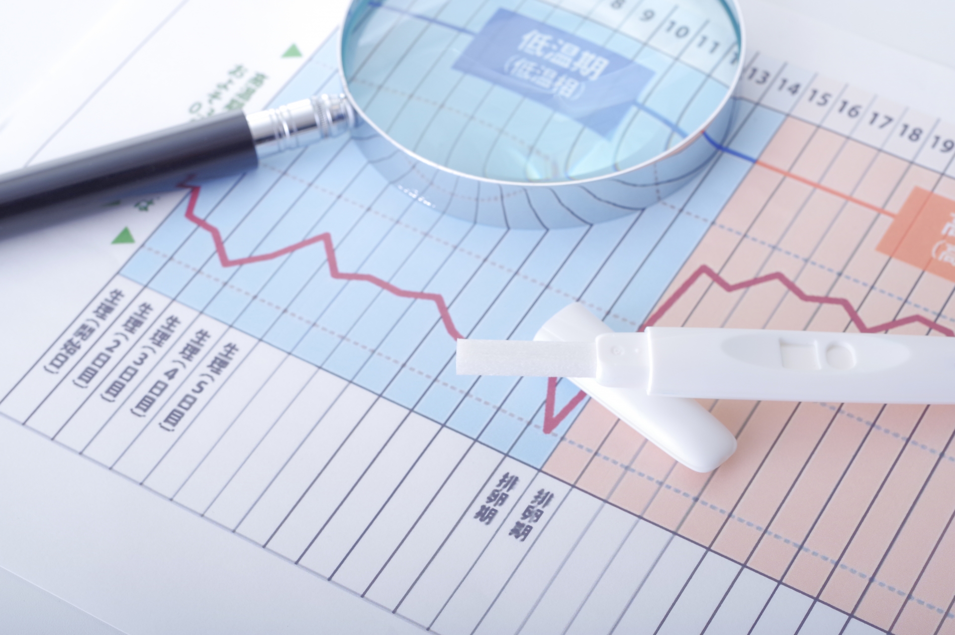 基礎体温表と虫眼鏡